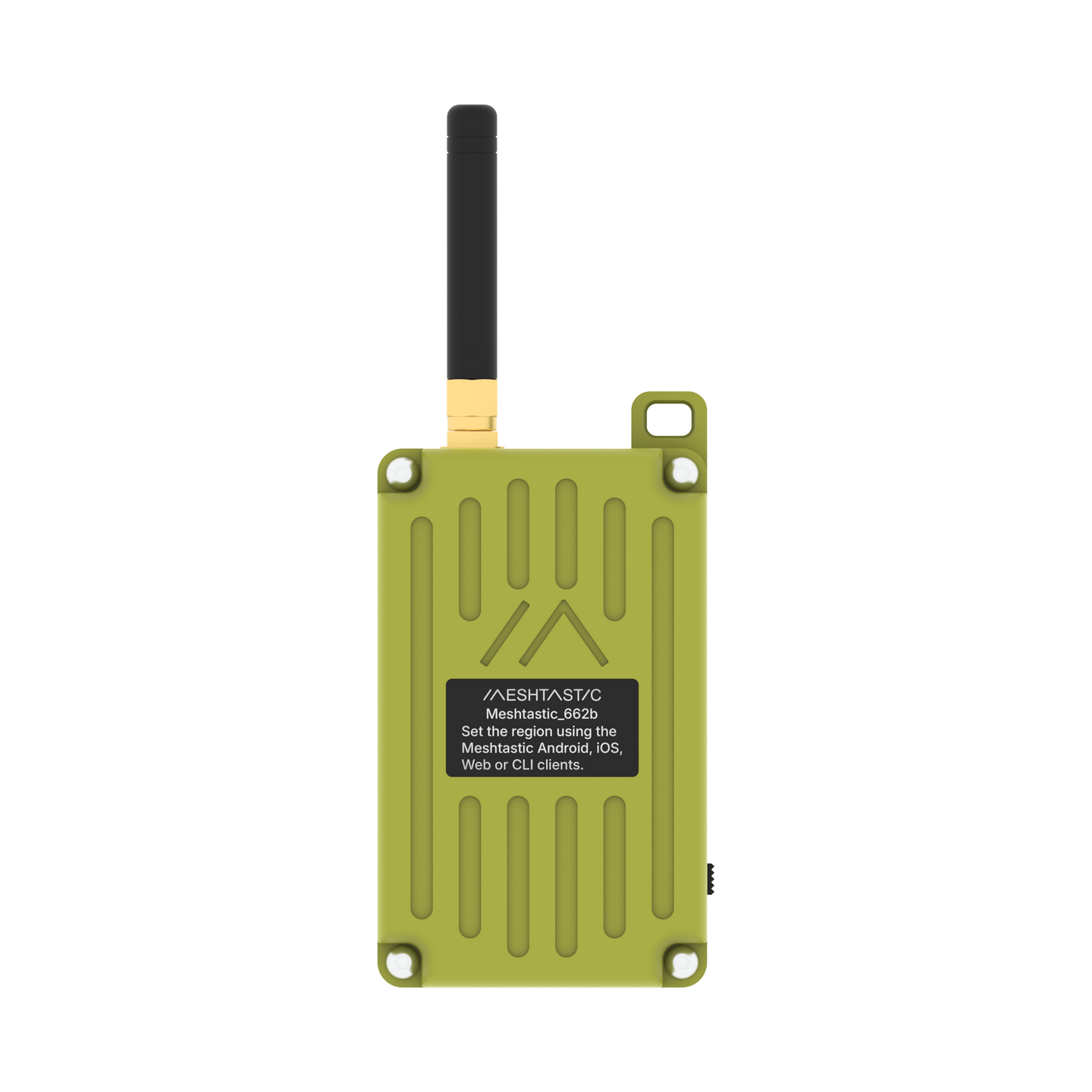 RAK WisMesh Pocket V2