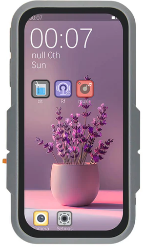 T-Display P4